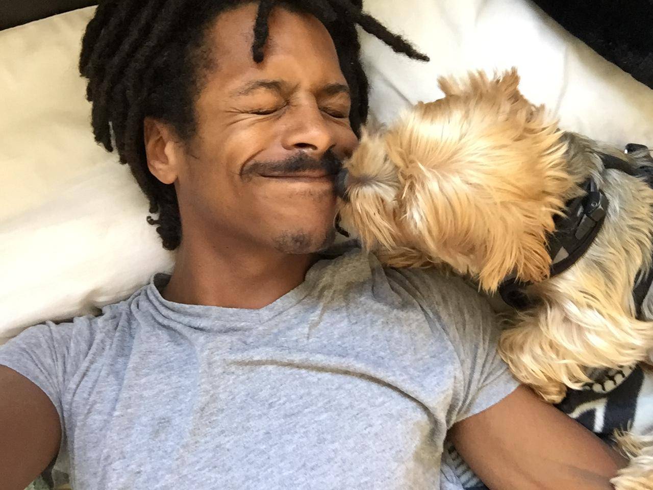 Dog enjoying home boarding